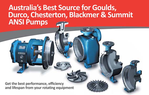 Australia's best source for Goulds, Durco, Chesterton, Blackemr & Summit ANSI Pumps